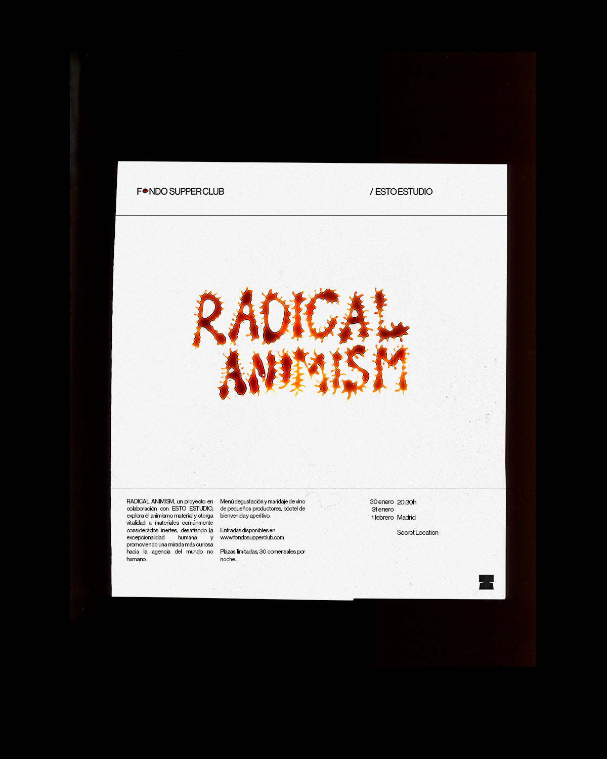 Radical Animism